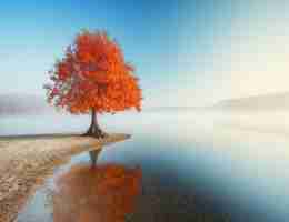 自‌动​化﻿脚‌本​调‌试‌